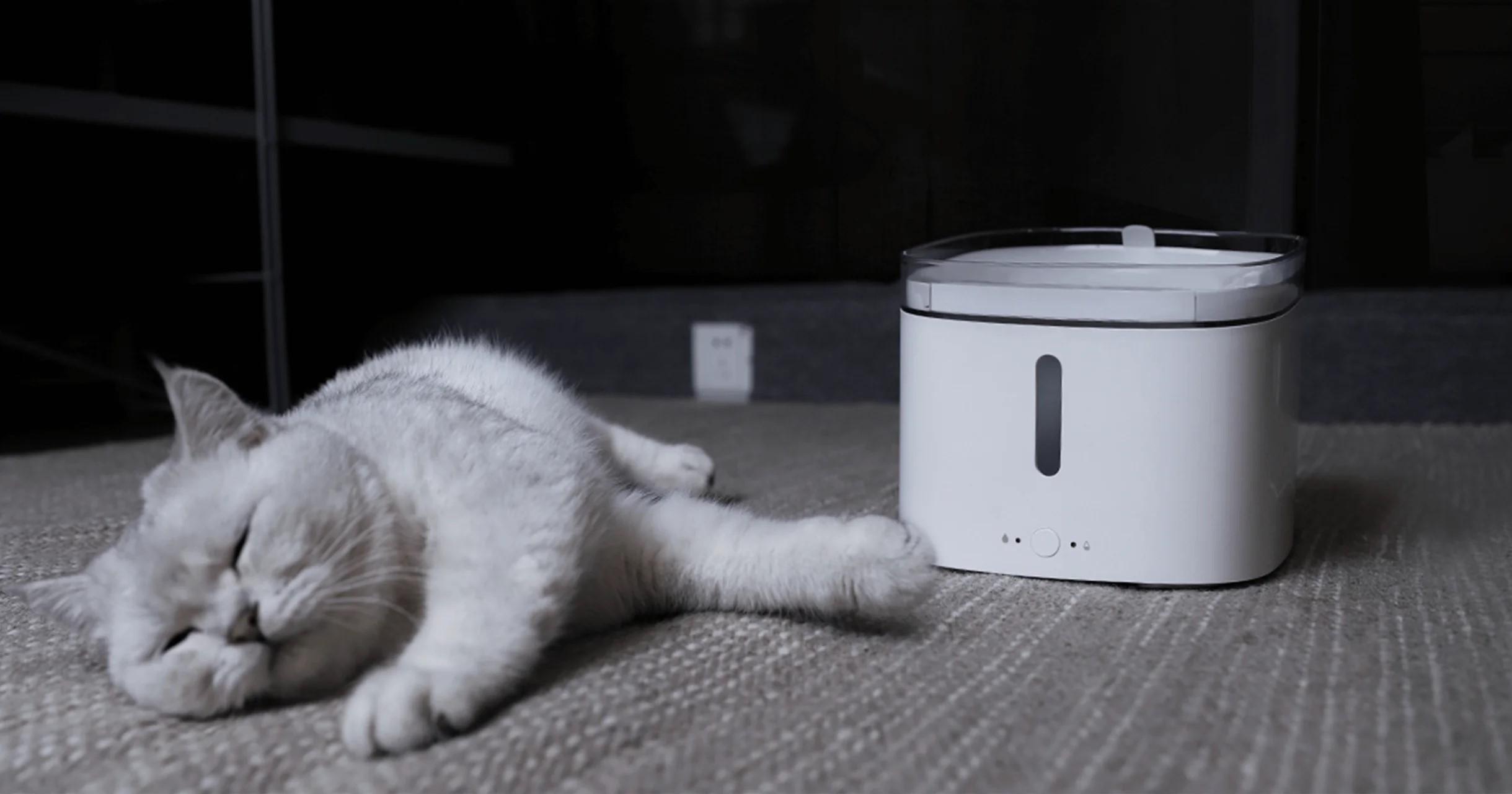 Smart Pet Fountain