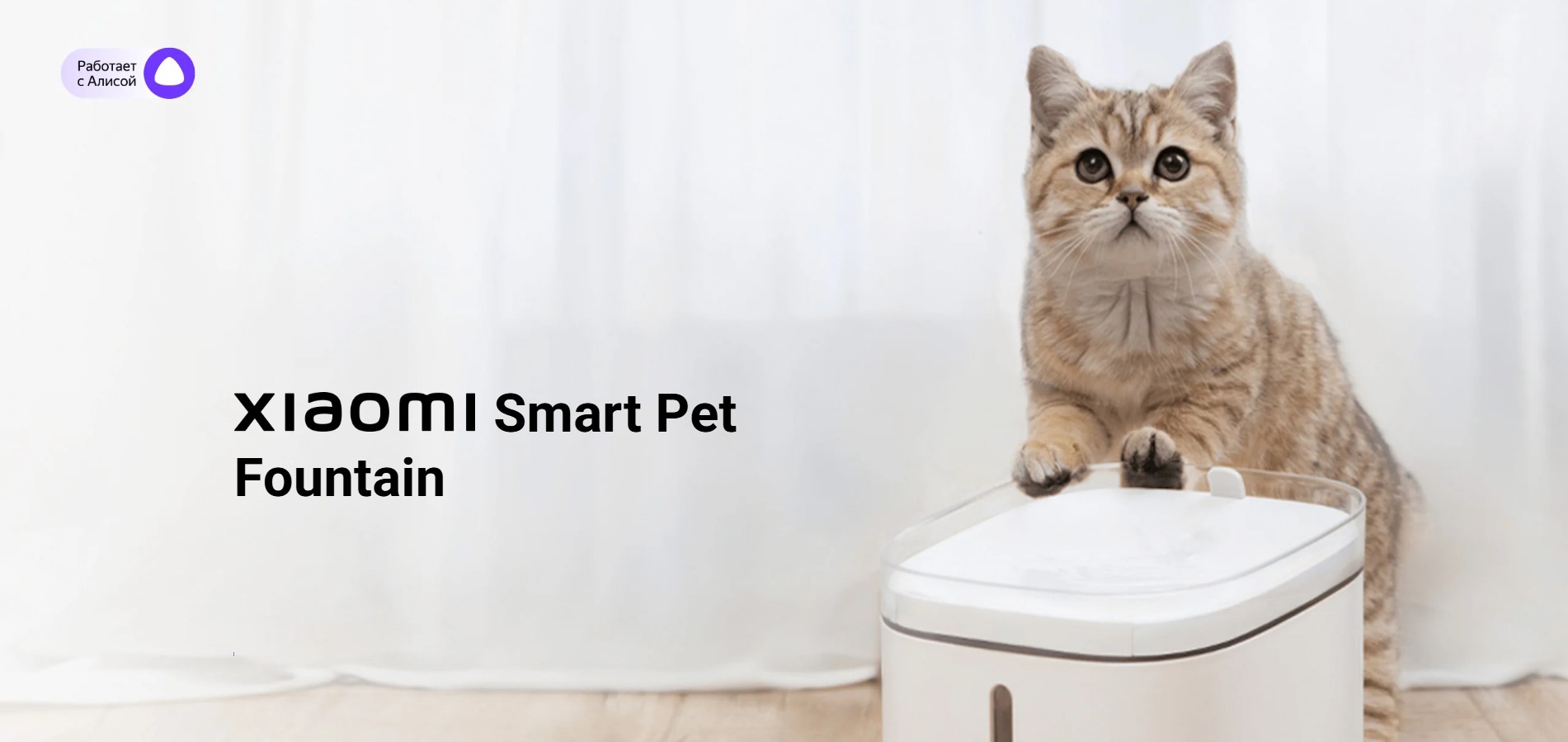 Smart Pet Fountain