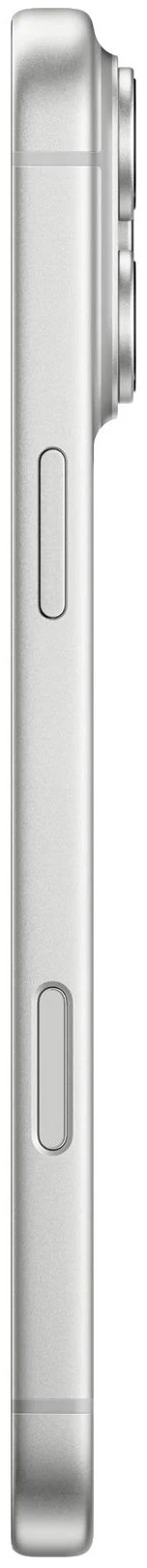 Смартфон Apple iPhone 17 Pro 256 ГБ серебристый eSIM, без RuStore