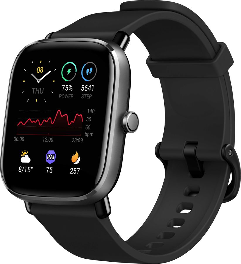 Смарт-часы Amazfit GTS 2 mini черный с черным ремешком