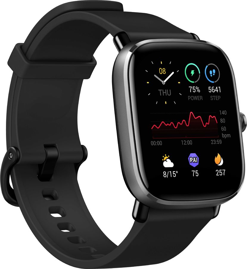 Смарт-часы Amazfit GTS 2 mini черный с черным ремешком