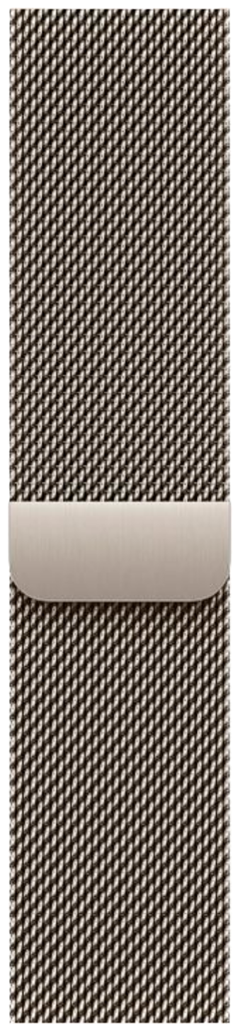 Смарт-часы Apple Watch Series 11 GPS + Cellular 46mm серый титан с серым Milanese Loop ремешком