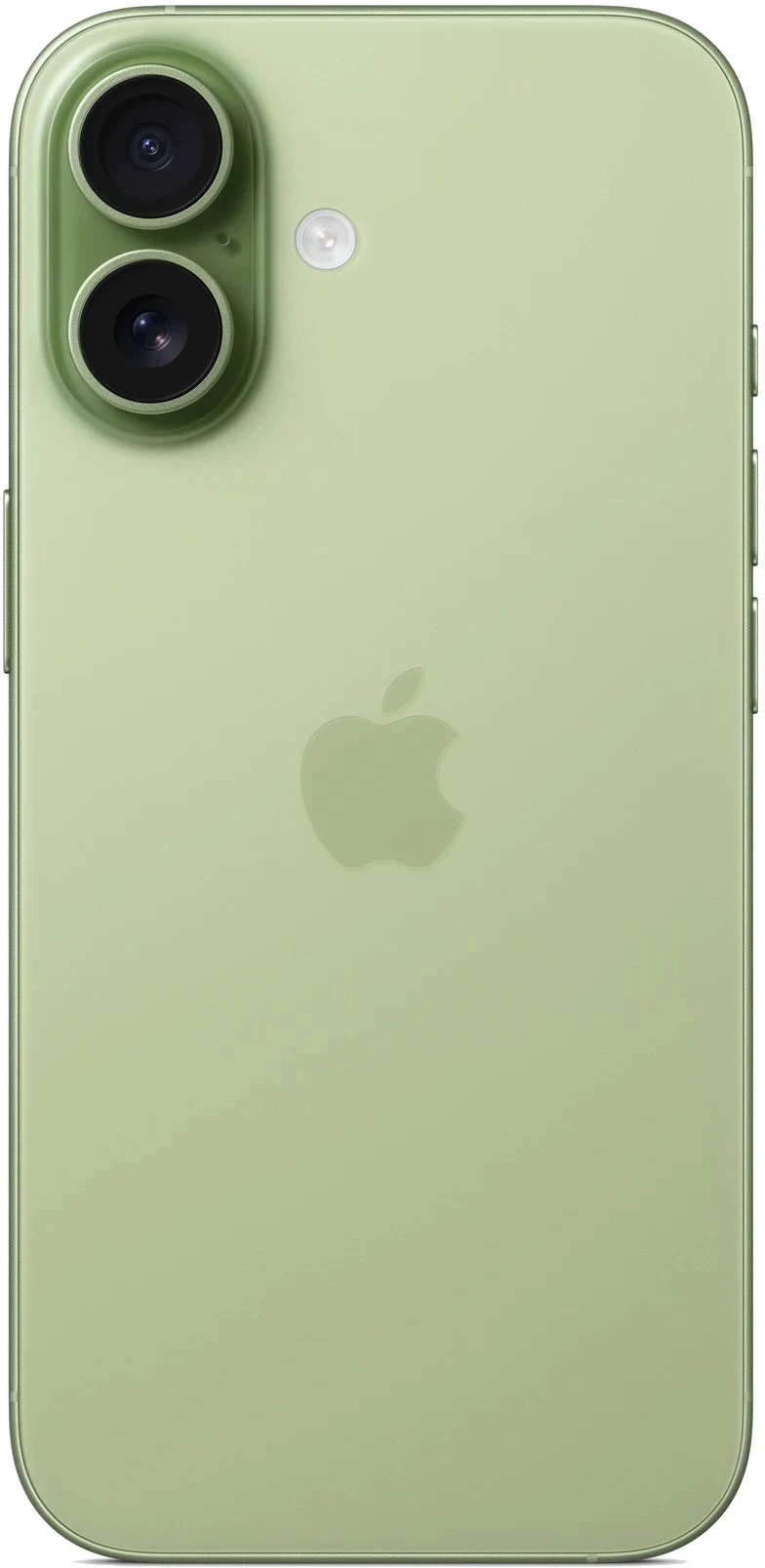 Смартфон Apple iPhone 17 512 ГБ зеленый, без RuStore