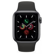 Смарт-часы Apple Watch Series 5 44mm серый с черным ремешком