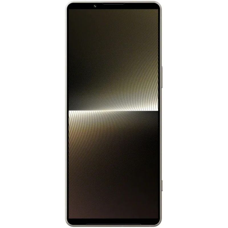 Смартфон Sony Xperia 1 V 5G 12/256 ГБ серебристый