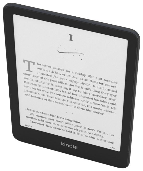 Электронная книга Amazon Kindle Paperwhite 2024 (12th gen) 32 ГБ Signature Edition черный