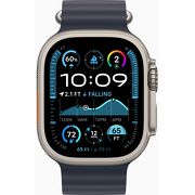 Смарт-часы Apple Watch Ultra 2 2024 49mm серый титан с синим Ocean ремешком